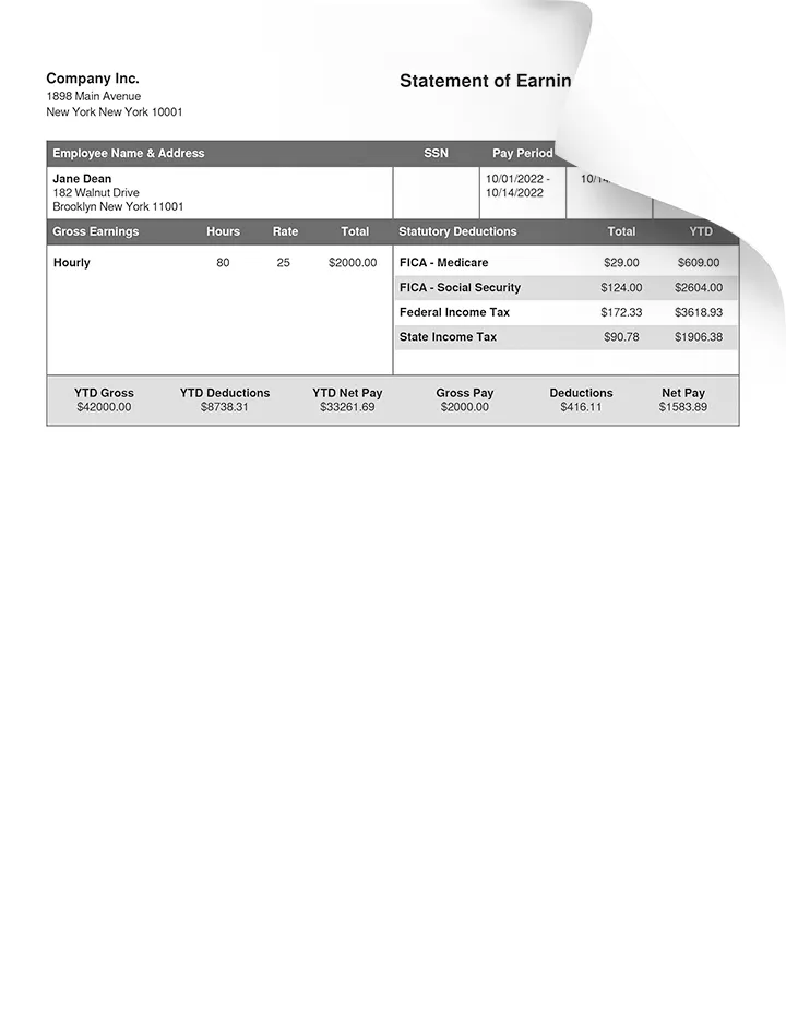 Create Pay Stubs Instantly - Generate Check Stubs | Form Pros